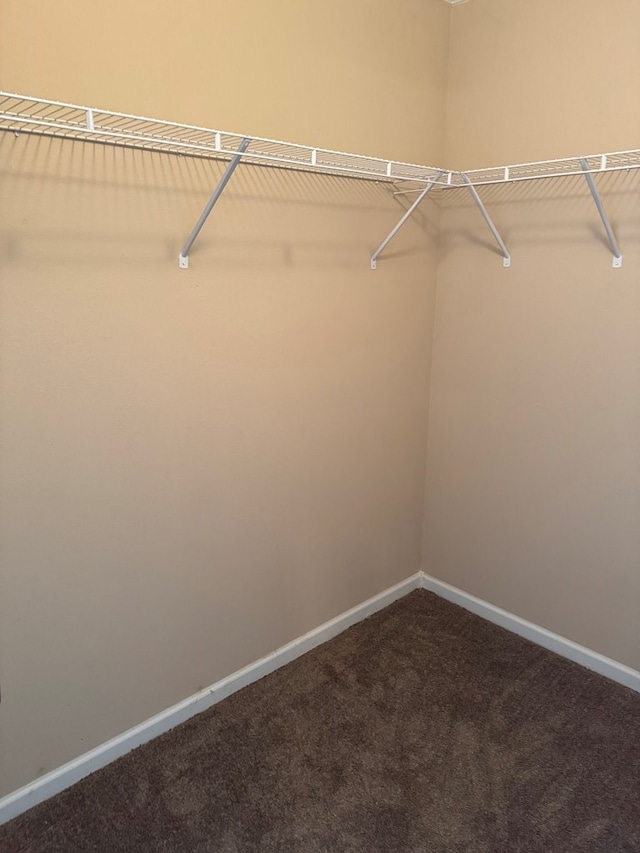 walk in closet with dark colored carpet