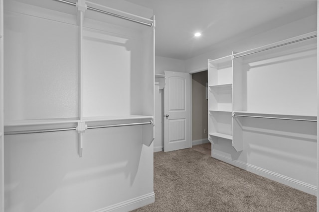 8901 Ratliff Ridge Ave, Odessa, TX 79765 - walk in closet with carpet flooring
