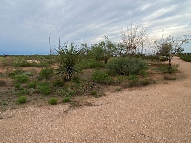 21008 Fm 1379, Midland, TX 79706 - photo 6