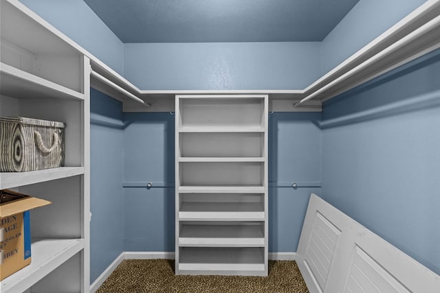 2900 E 21st St, Odessa, TX 79761 - spacious closet featuring dark colored carpet