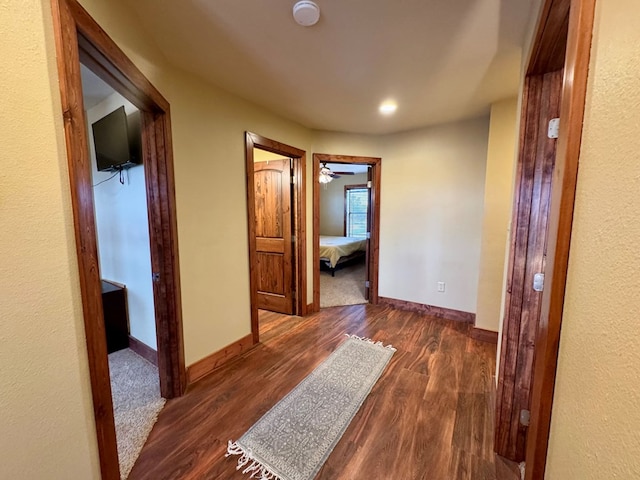 hall with dark hardwood / wood-style flooring