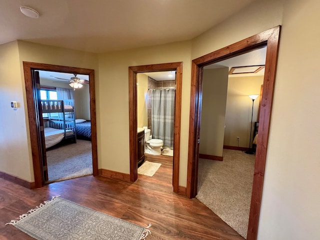 corridor with dark hardwood / wood-style floors