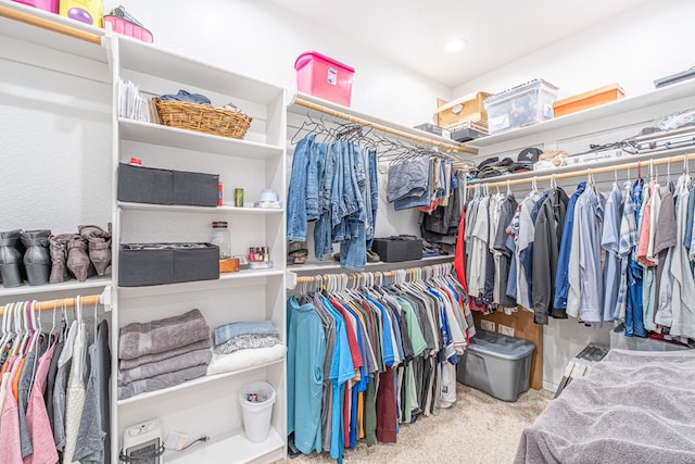 479 County Rd 306, Seminole, TX 79360 - walk in closet with carpet