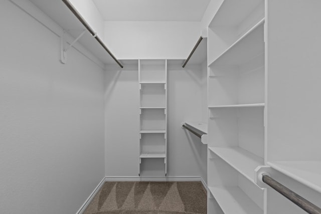 2208 Boise Dr, Odessa, TX 79762 - spacious closet with carpet floors
