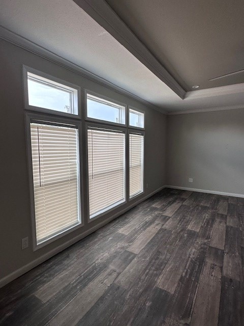 610 Magnolia, Kermit, TX 79745 - empty room with crown molding, dark wood-style flooring, healthy amount of natural light, and a raised ceiling