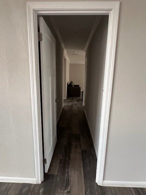610 Magnolia, Kermit, TX 79745 - corridor with wood finished floors