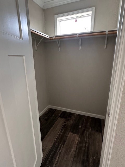 610 Magnolia, Kermit, TX 79745 - walk in closet with dark wood-type flooring