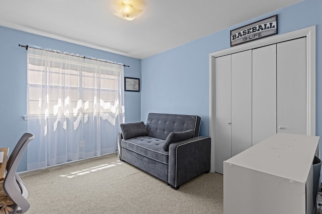 3700 Fairmont Dr, Odessa, TX 79762 - office with carpet flooring