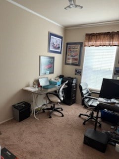 office featuring ornamental molding and carpet