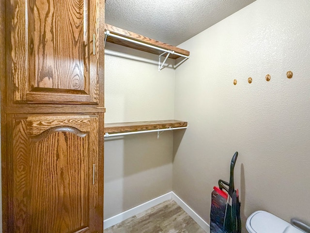 305 County Rd 306, Seminole, TX 79360 - spacious closet featuring light wood-style floors