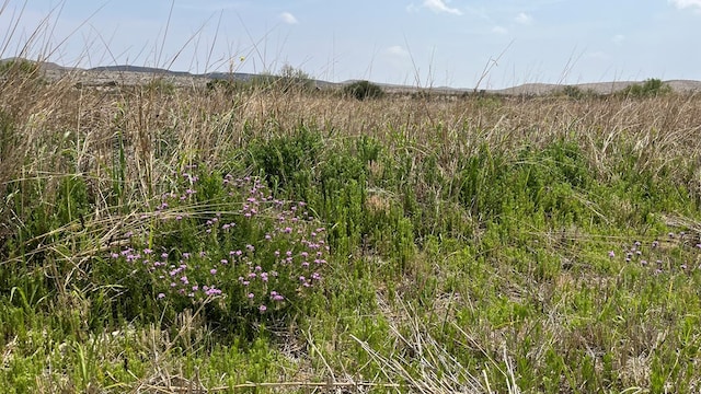 Listing photo 3 for 20872 Ivy Rd, Terlingua TX 79852