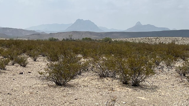 20872 Ivy Rd, Terlingua TX, 79852 land for sale