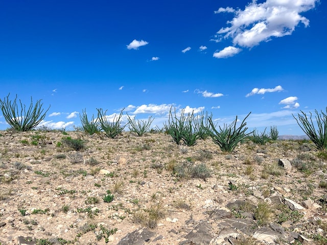 TBD US Highway 62-180, Van Horn, TX 79847 - photo 8