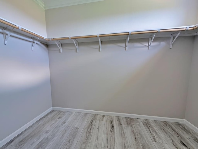 9 Prairie View Ln, Alpine, TX 79830 - spacious closet with light wood-style flooring