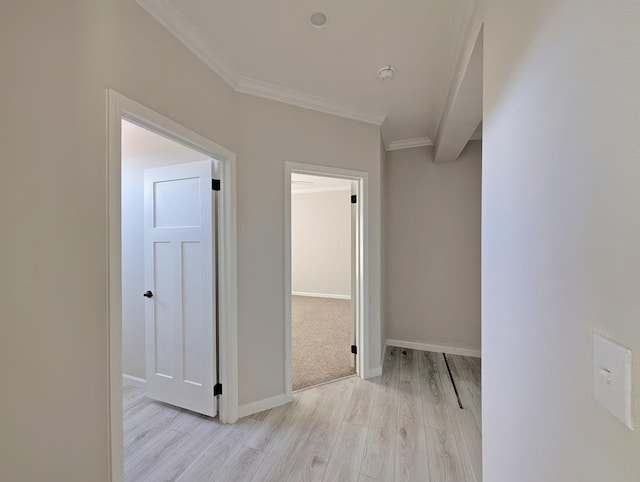 9 Prairie View Ln, Alpine, TX 79830 - hallway featuring light wood-type flooring and ornamental molding