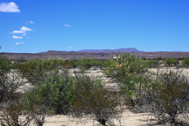 605 Ltm Rd, Terlingua, TX 79852 - photo 23