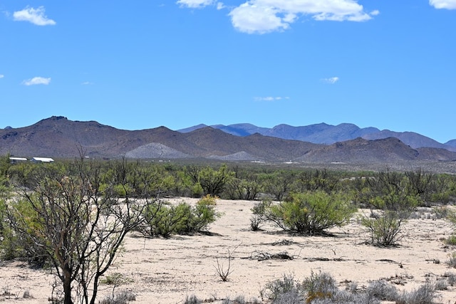 605 Ltm Rd, Terlingua, TX 79852 - photo 6