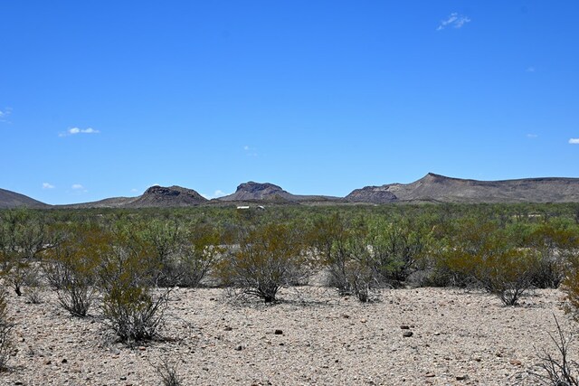 605 Ltm Rd, Terlingua, TX 79852 - photo 18