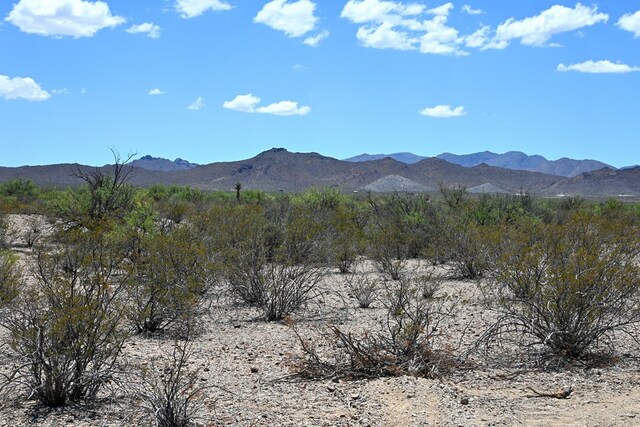 605 Ltm Rd, Terlingua, TX 79852 - photo 19