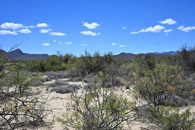 605 Ltm Rd, Terlingua, TX 79852 - photo 7