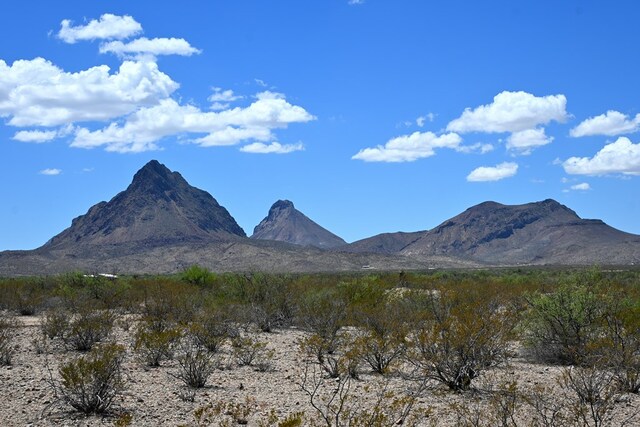 605 Ltm Rd, Terlingua, TX 79852 - photo 20