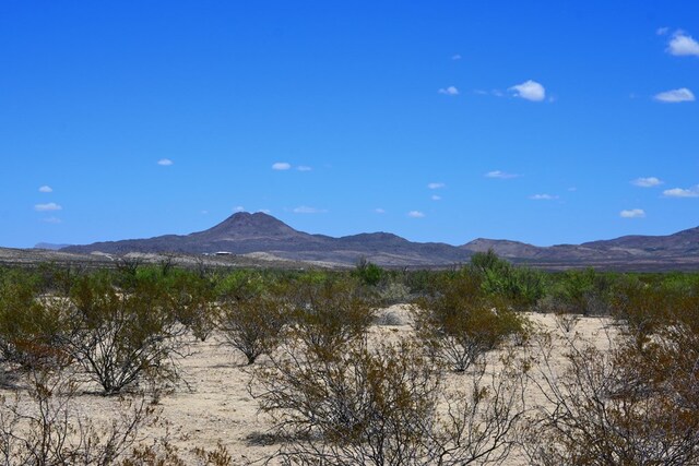605 Ltm Rd, Terlingua, TX 79852 - photo 22