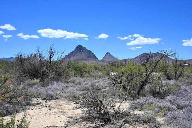 605 Ltm Rd, Terlingua, TX 79852 - photo 2