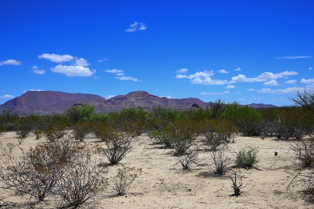 605 Ltm Rd, Terlingua, TX 79852 - photo 21