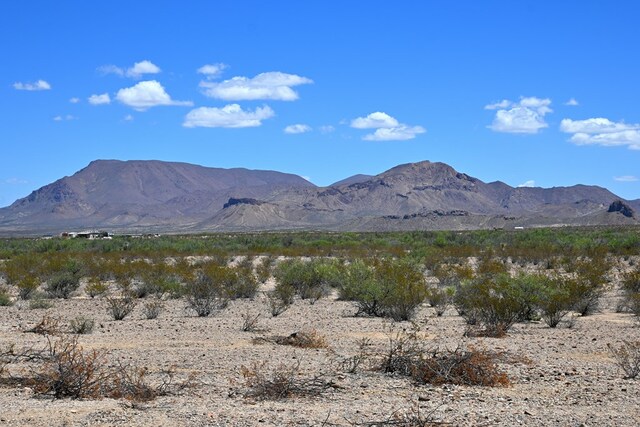 605 Ltm Rd, Terlingua, TX 79852 - photo 16