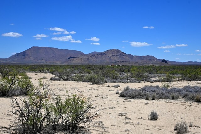 605 Ltm Rd, Terlingua, TX 79852 - photo 10