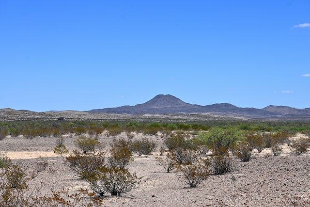 605 Ltm Rd, Terlingua, TX 79852 - photo 5
