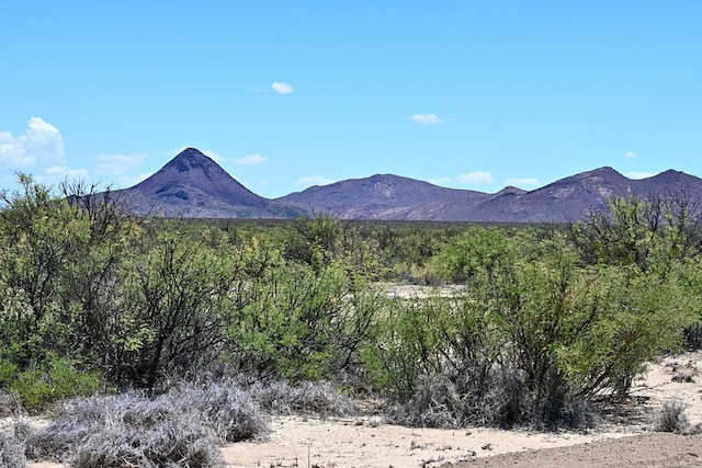 605 Ltm Rd, Terlingua, TX 79852 - photo 3