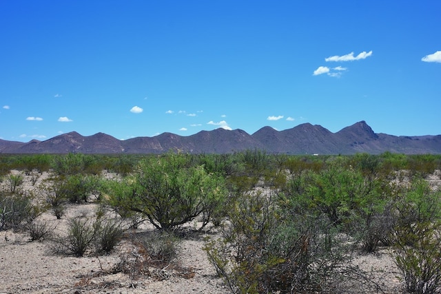 605 Ltm Rd, Terlingua, TX 79852 - photo 12