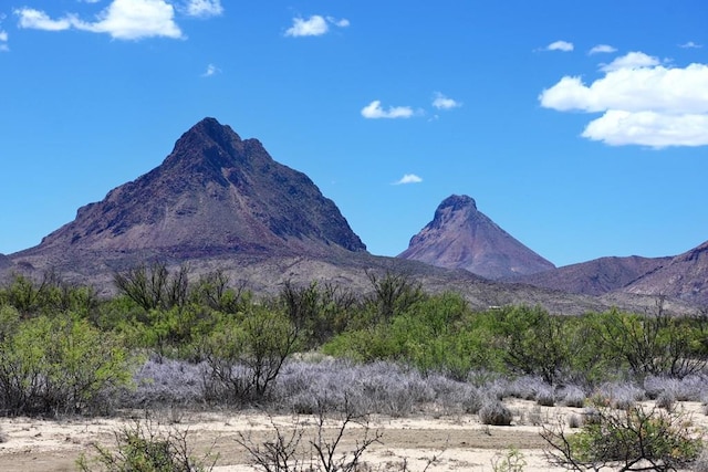605 Ltm Rd, Terlingua, TX 79852 - photo 1