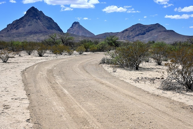 605 Ltm Rd, Terlingua, TX 79852 - photo 24