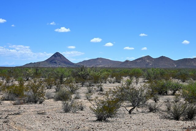 605 Ltm Rd, Terlingua, TX 79852 - photo 17