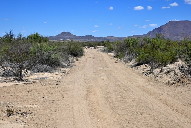 605 Ltm Rd, Terlingua, TX 79852 - photo 25