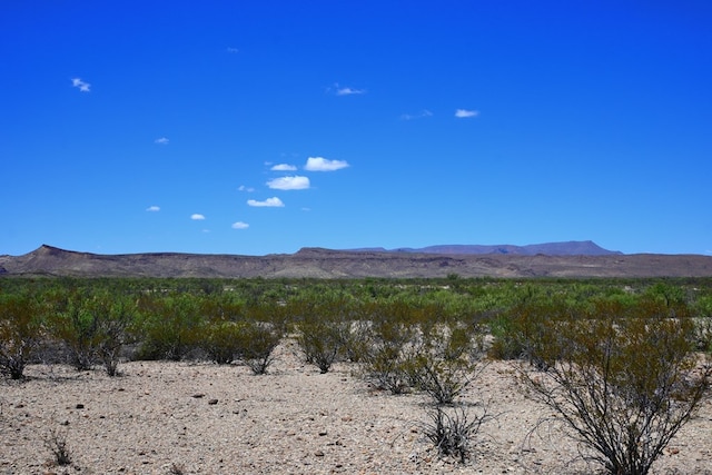 605 Ltm Rd, Terlingua, TX 79852 - photo 14