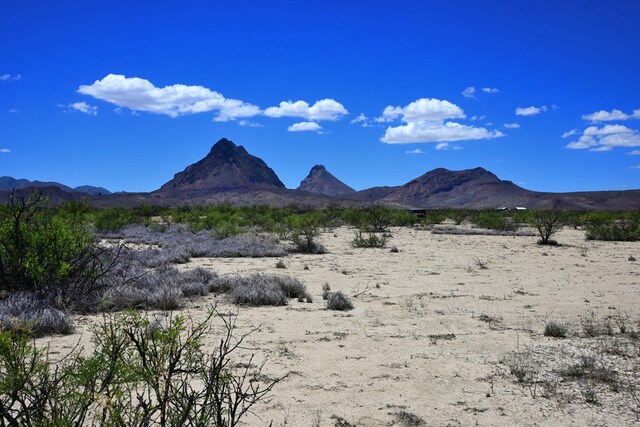 605 Ltm Rd, Terlingua, TX 79852 - photo 11