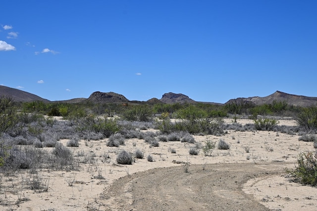 605 Ltm Rd, Terlingua, TX 79852 - photo 8