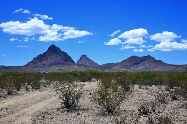 605 Ltm Rd, Terlingua, TX 79852 - photo 13