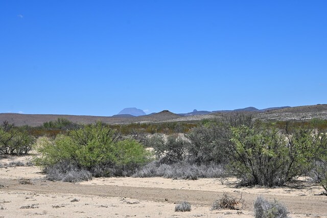 605 Ltm Rd, Terlingua, TX 79852 - photo 9