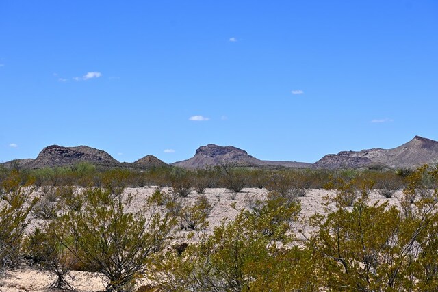 605 Ltm Rd, Terlingua, TX 79852 - photo 4