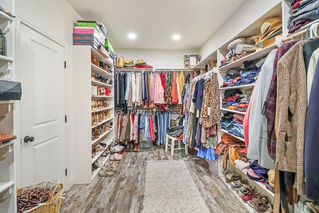 walk in closet featuring wood-type flooring