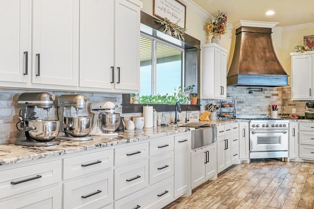 kitchen featuring white cabinetry, stainless steel range, sink, tasteful backsplash, and custom range hood