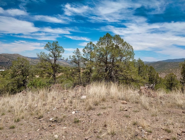 209 Low Meadow Trl, Fort Davis, TX 79734