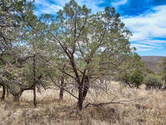 209 Low Meadow Trl, Fort Davis, TX 79734