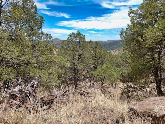 209 Low Meadow Trl, Fort Davis, TX 79734