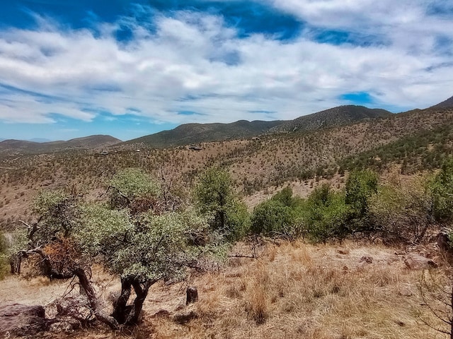 209 Low Meadow Trl, Fort Davis, TX 79734