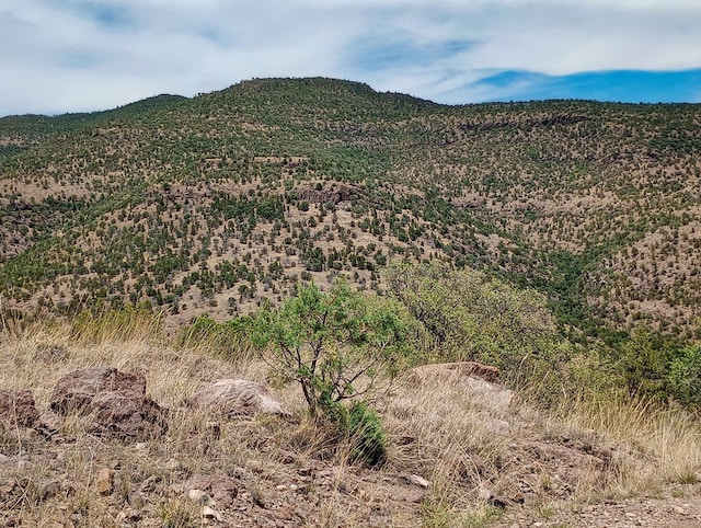 209 Low Meadow Trl, Fort Davis, TX 79734
